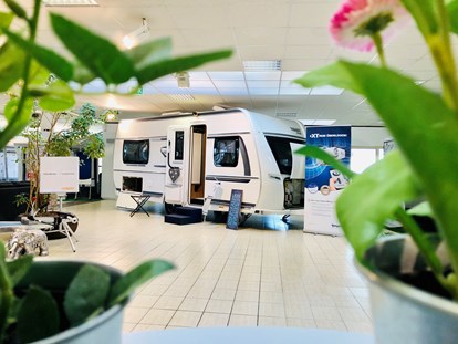 Caravan dealer - Verkauf Reisemobil Aufbautyp: Kastenwagen - Indoorausstellung - Camping.holiday CRC GesmbH