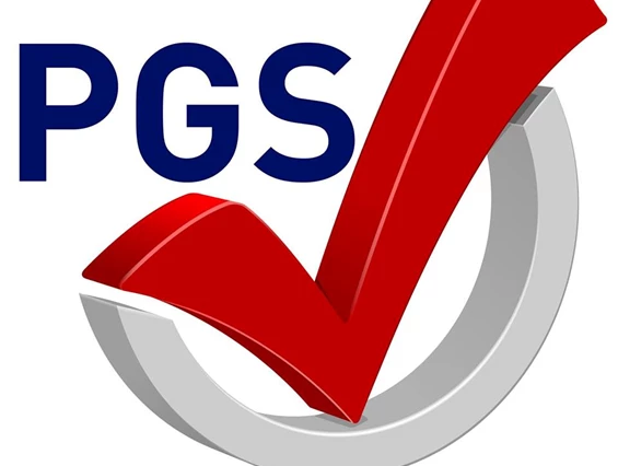 Wohnmobilhändler: PGS Freizeitmobile Logo - PGS Freizeitmobile GmbH