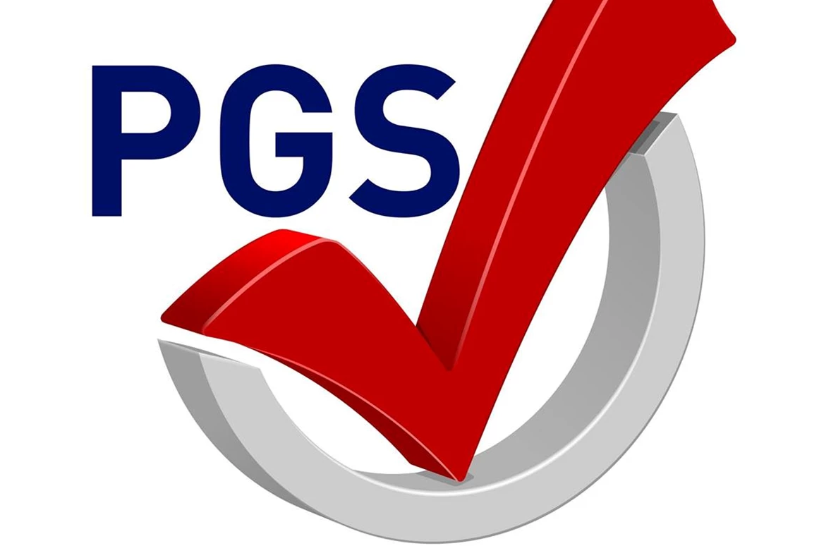 Wohnmobilhändler: PGS Freizeitmobile Logo - PGS Freizeitmobile GmbH