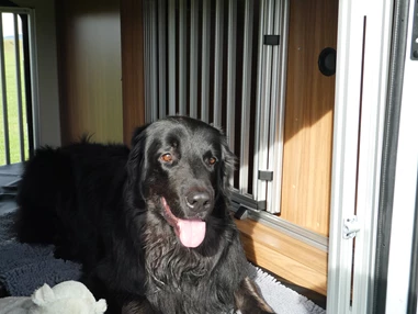 Wohnmobilhändler: Fellnasenmobil Frank Eigenbrod