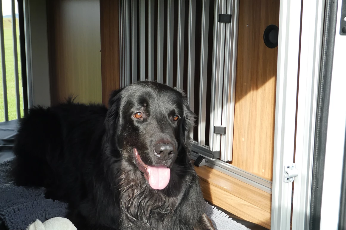 Wohnmobilhändler: Fellnasenmobil Frank Eigenbrod