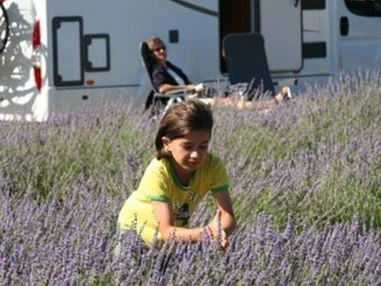 Wohnmobilhändler: RC Reisemobilcenter Celle GmbH