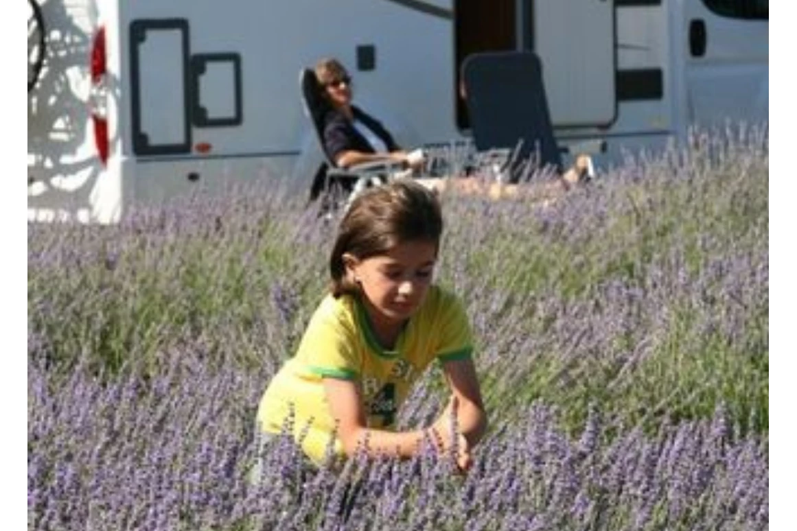 Wohnmobilhändler: RC Reisemobilcenter Celle GmbH